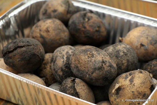 Rowerzyści opanowali park w Lipnie (dźwięk i zdjęcia)