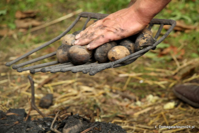 Rowerzyści opanowali park w Lipnie (dźwięk i zdjęcia)