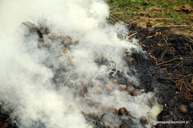 Rowerzyści opanowali park w Lipnie (dźwięk i zdjęcia)
