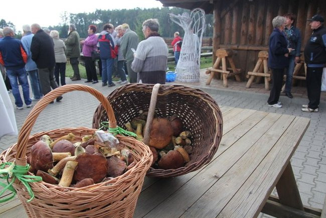 Zbierali grzyby w Smyczynie (zdjęcia)