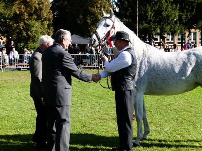 Jarmark z zakąską (zdjęcia)