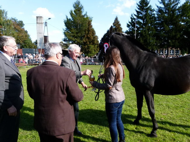 Jarmark z zakąską (zdjęcia)