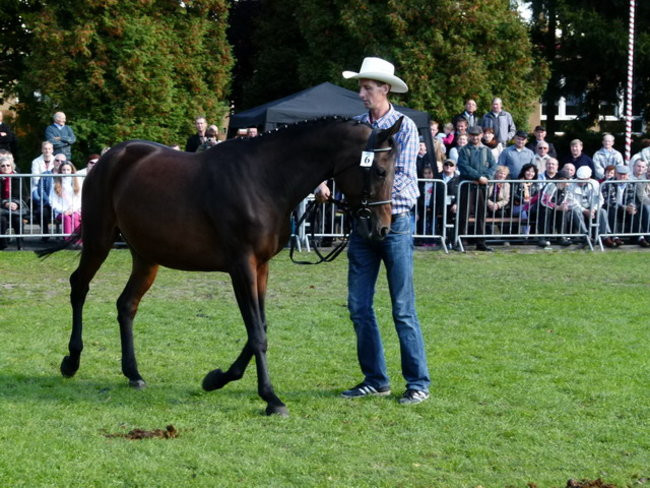 Jarmark z zakąską (zdjęcia)