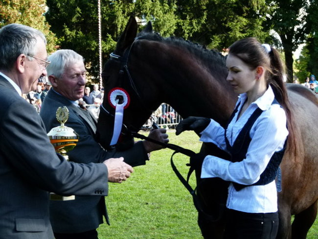 Jarmark z zakąską (zdjęcia)