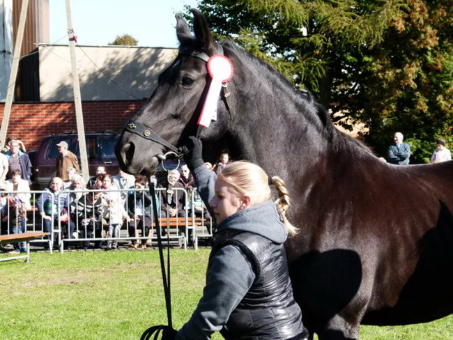 Jarmark z zakąską (zdjęcia)