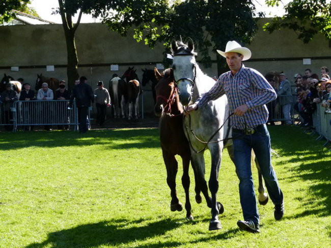 Jarmark z zakąską (zdjęcia)