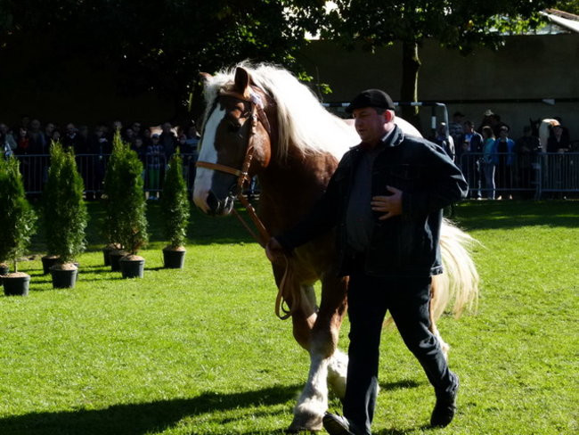Jarmark z zakąską (zdjęcia)