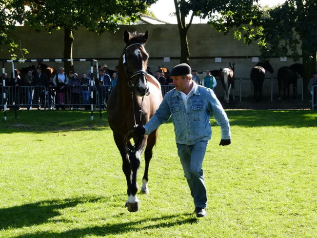 Jarmark z zakąską (zdjęcia)