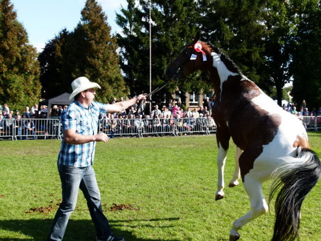 Jarmark z zakąską (zdjęcia)