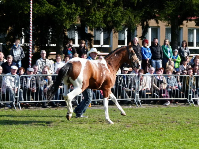 Jarmark z zakąską (zdjęcia)