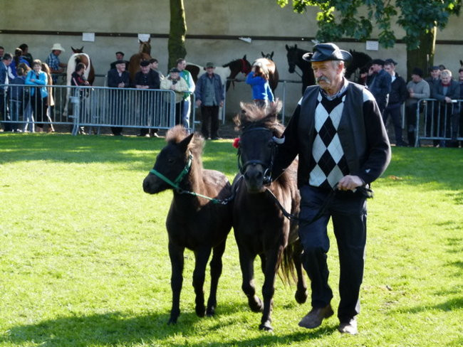 Jarmark z zakąską (zdjęcia)
