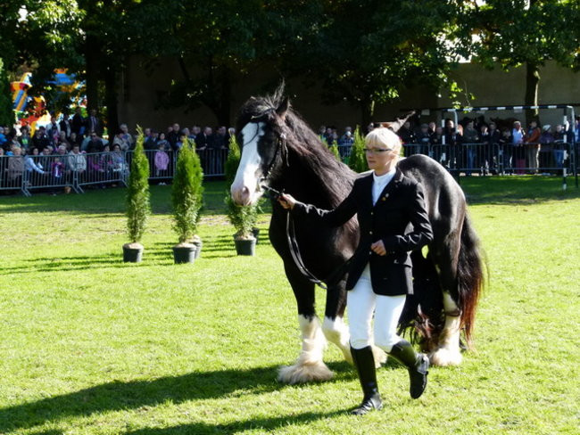 Jarmark z zakąską (zdjęcia)