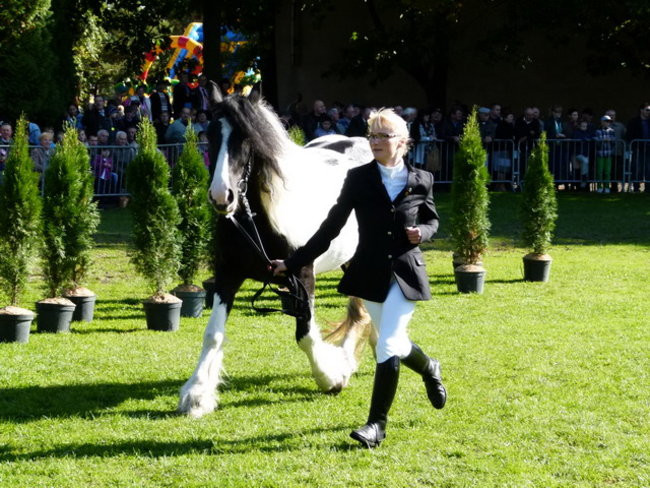 Jarmark z zakąską (zdjęcia)