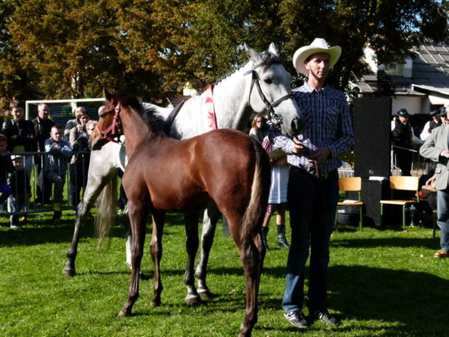 Jarmark z zakąską (zdjęcia)