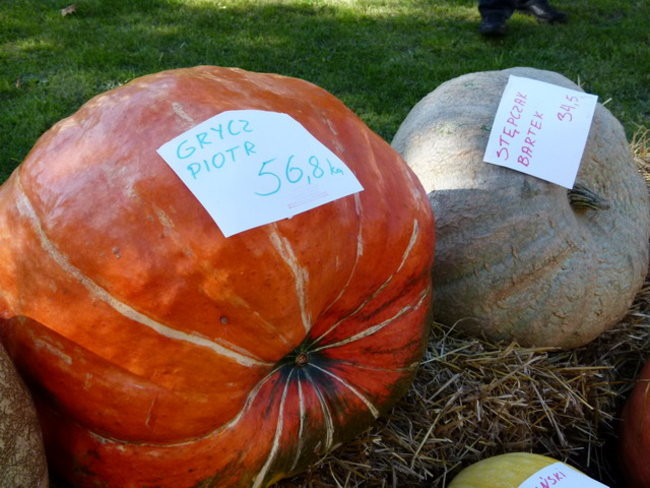 Jarmark z zakąską (zdjęcia)