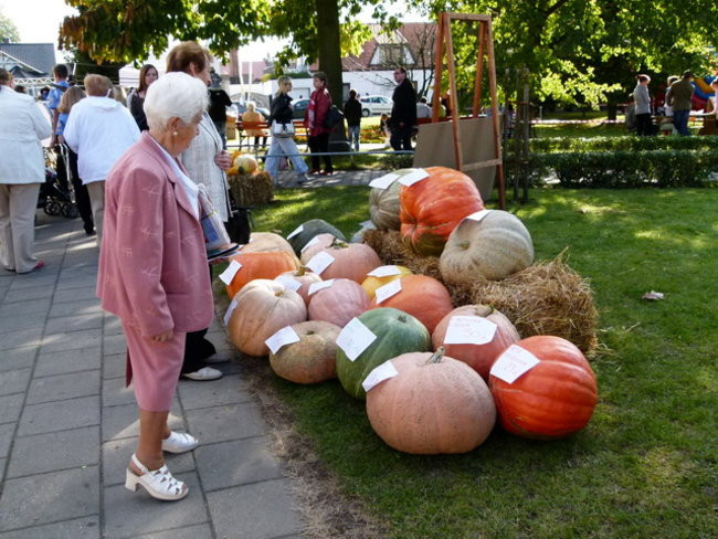 Jarmark z zakąską (zdjęcia)