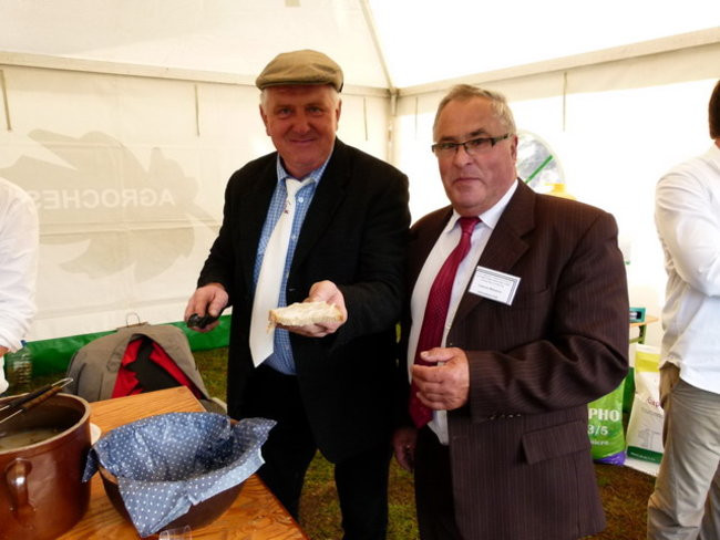 Jarmark z zakąską (zdjęcia)