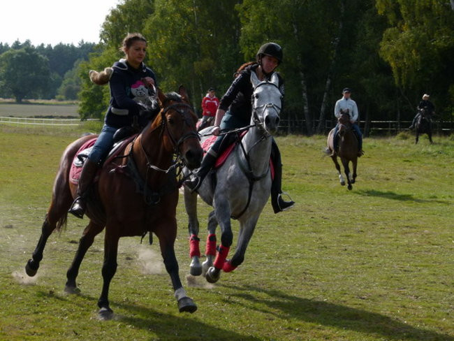 Galopem za lisią kitą (zdjęcia)