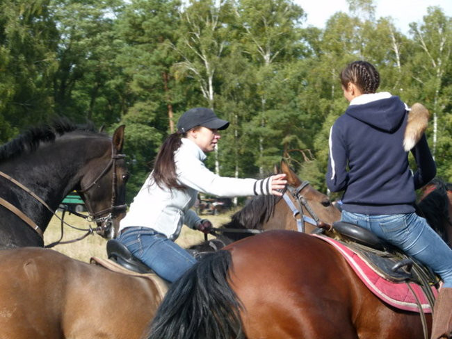 Galopem za lisią kitą (zdjęcia)