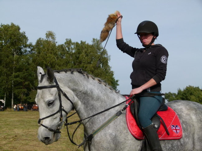 Galopem za lisią kitą (zdjęcia)