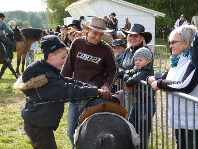 Galopem za lisią kitą (zdjęcia)
