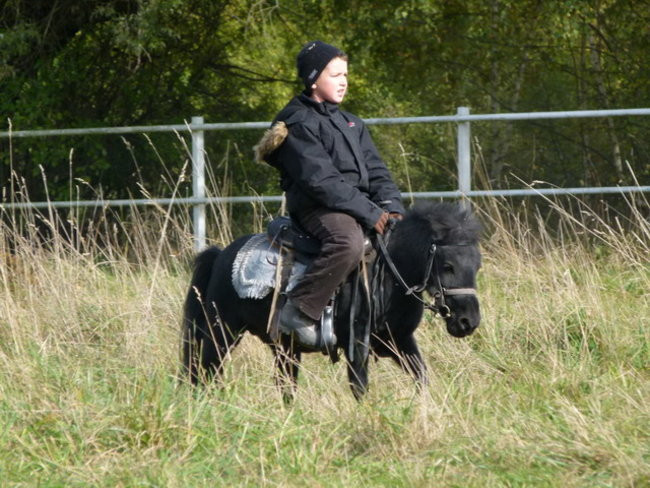 Galopem za lisią kitą (zdjęcia)