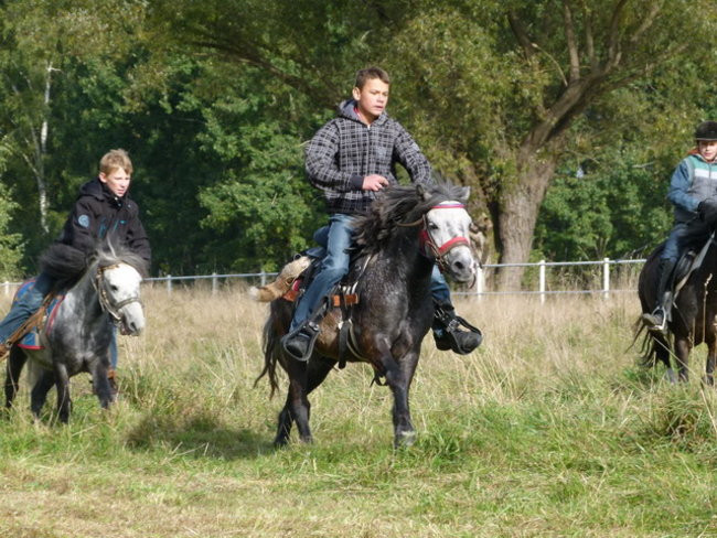 Galopem za lisią kitą (zdjęcia)