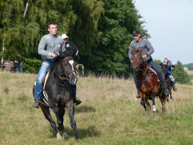Galopem za lisią kitą (zdjęcia)