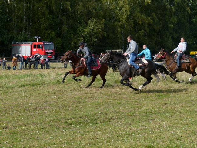 Galopem za lisią kitą (zdjęcia)