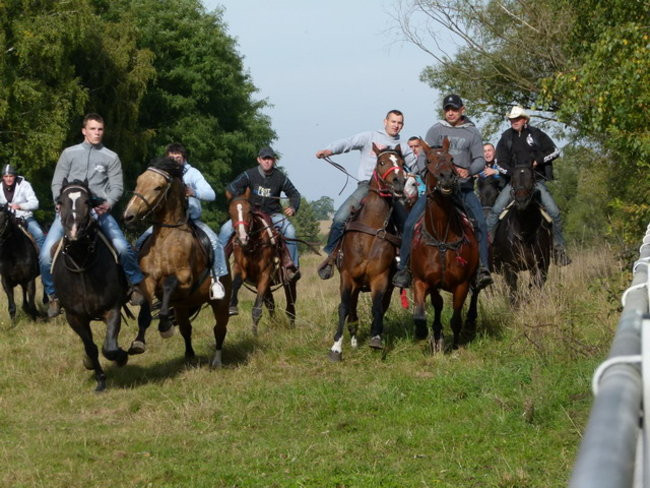 Galopem za lisią kitą (zdjęcia)