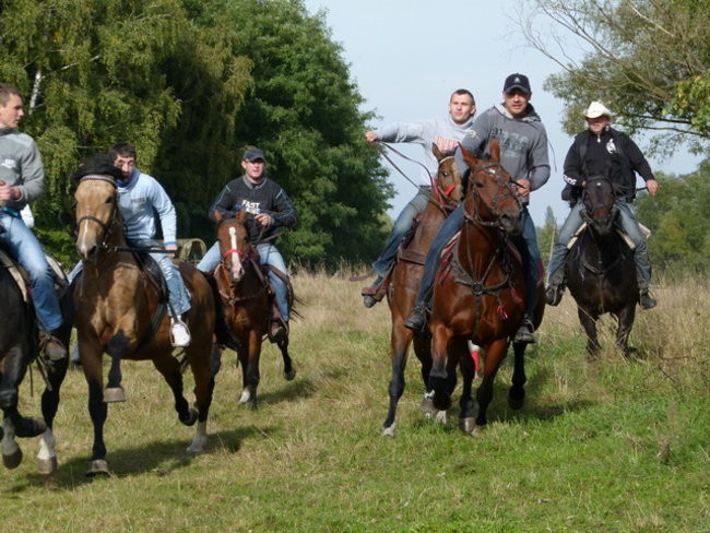 Galopem za lisią kitą (zdjęcia)