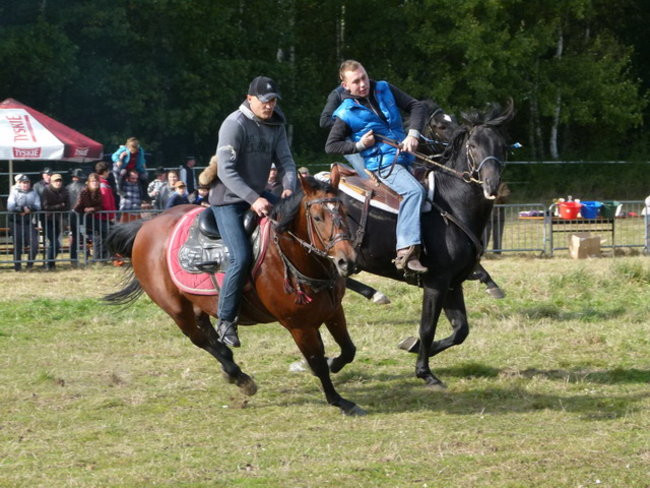 Galopem za lisią kitą (zdjęcia)