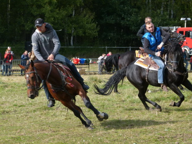 Galopem za lisią kitą (zdjęcia)