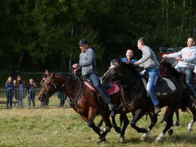 Galopem za lisią kitą (zdjęcia)