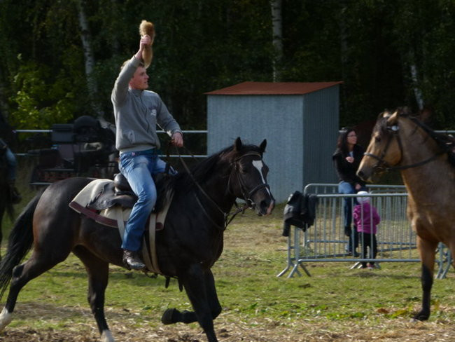 Galopem za lisią kitą (zdjęcia)