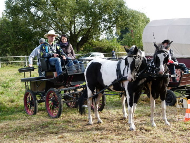 Galopem za lisią kitą (zdjęcia)
