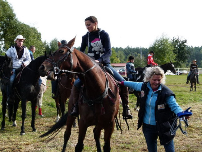 Galopem za lisią kitą (zdjęcia)