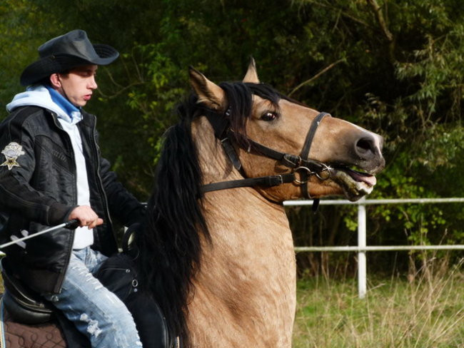 Galopem za lisią kitą (zdjęcia)