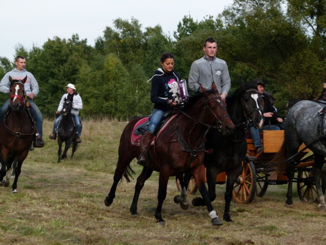 Galopem za lisią kitą (zdjęcia)