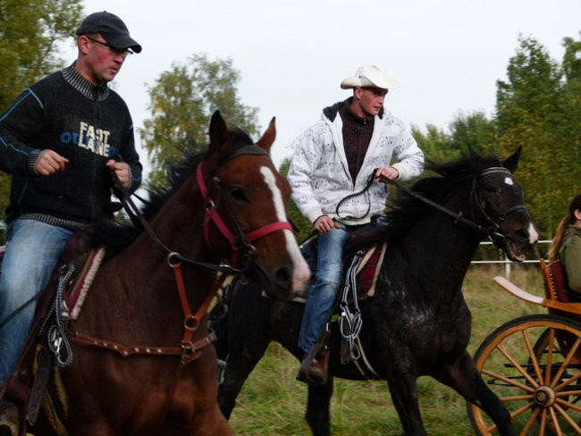 Galopem za lisią kitą (zdjęcia)