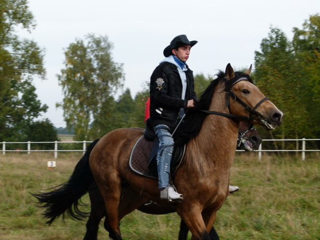 Galopem za lisią kitą (zdjęcia)