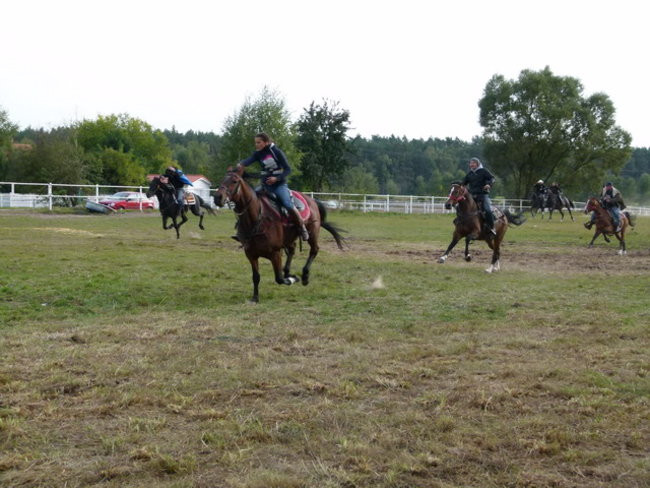 Galopem za lisią kitą (zdjęcia)