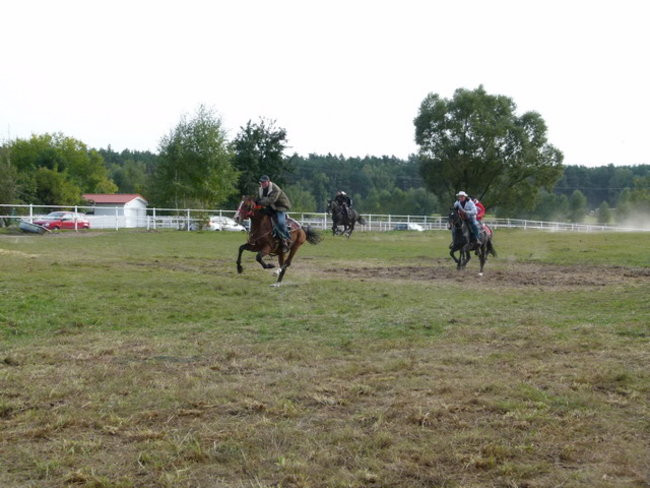 Galopem za lisią kitą (zdjęcia)