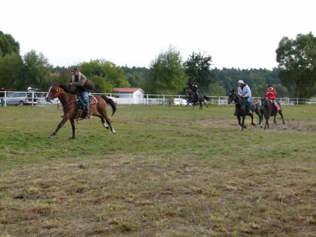 Galopem za lisią kitą (zdjęcia)