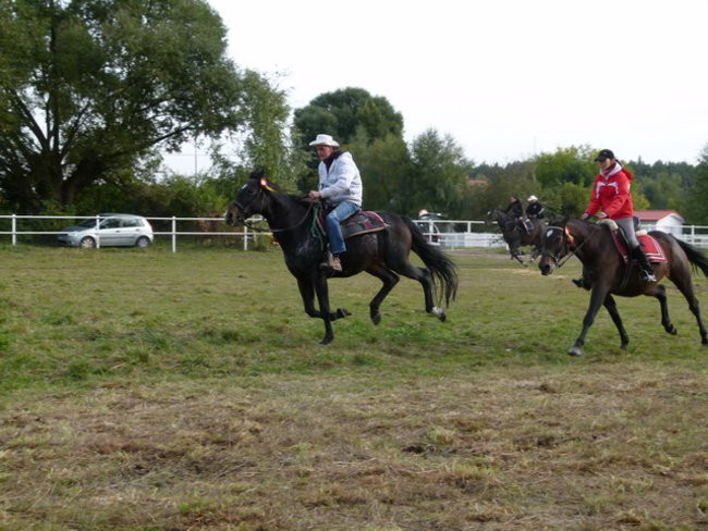 Galopem za lisią kitą (zdjęcia)