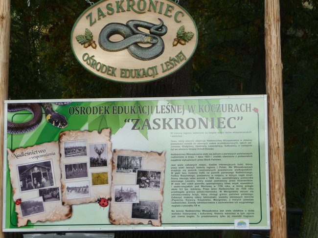 Atrakcja w leśniczówce Koczury (zdjęcia)