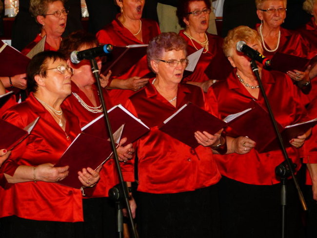 Wijewski ?Hejnał? świętował 85-lecie (zdjęcia)