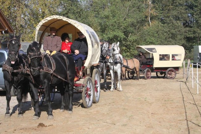 Hubertus w Boszkowie (zdjecia)