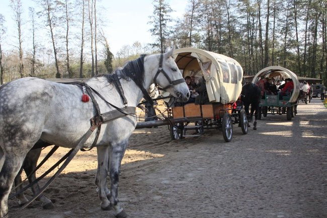Hubertus w Boszkowie (zdjecia)