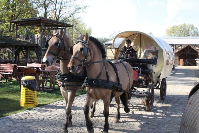Hubertus w Boszkowie (zdjecia)